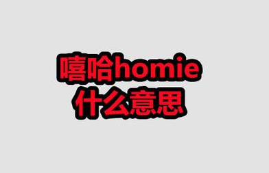 homie含义介绍第2步