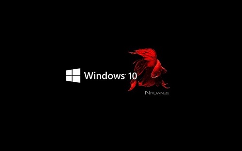 win10一键重装系统排名2023第3步