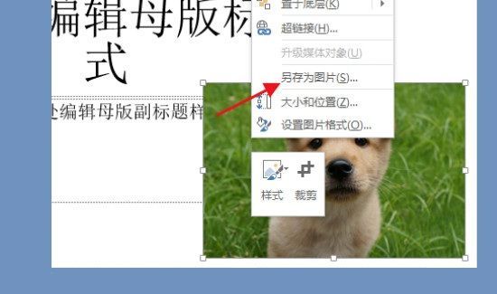 ppt母版图片导出方法第2步