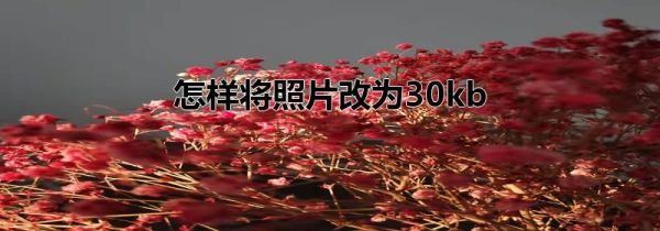 怎样将照片改为30kb第1步