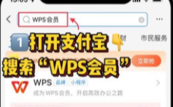 wps稻壳会员免费领取7天2023最新第1步