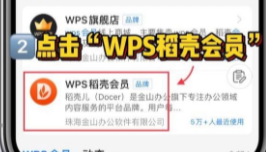 wps稻壳会员免费领取7天2023最新第2步