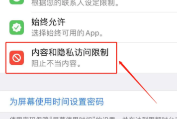苹果15设置内容访问权限方法第3步
