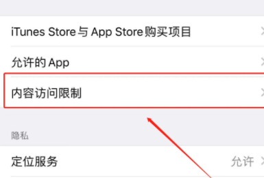 苹果15设置内容访问权限方法第4步