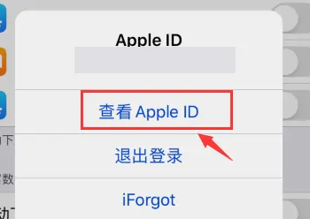 苹果15查看苹果账号方法步骤第5步