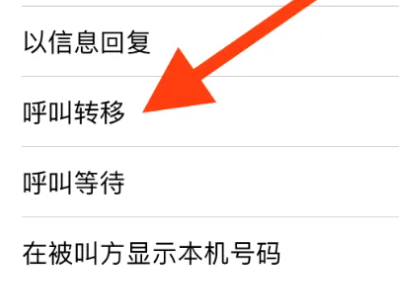 苹果15呼叫转移方法第3步