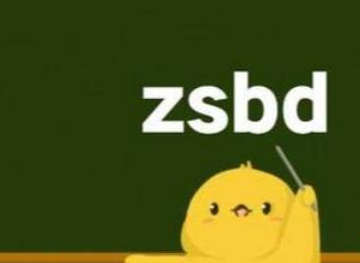 zsbd网络语介绍第2步